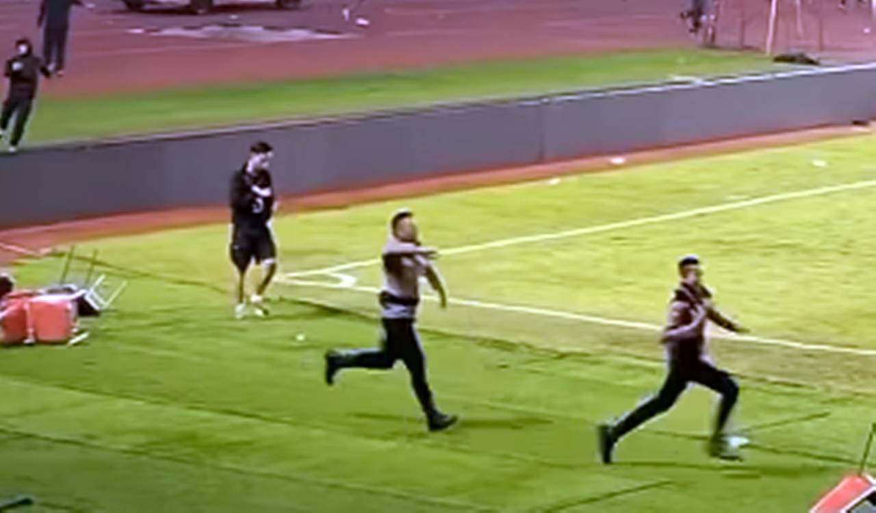 Steward Persib Artinya Itu Apa