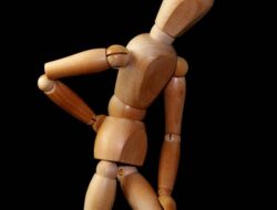 Rekomendasi Tanaman Herbal Untuk Sakit Pinggang