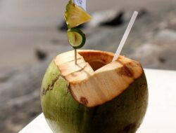 Apakah Air Kelapa Sebabkan Magh? Ini Jawaban Dokter