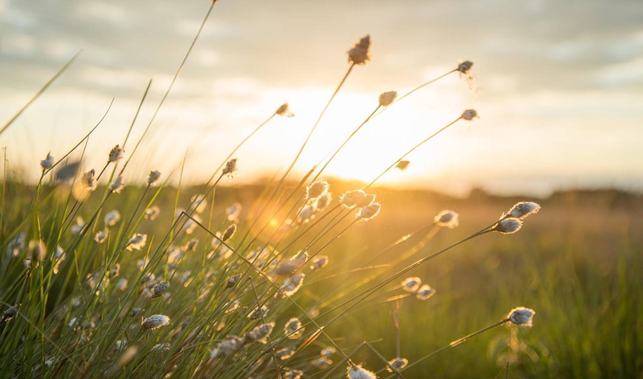 Warm and Cozy Artinya Apa