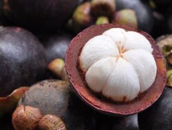 How Long Does Mangosteen Take to Fruit? A Guide for Growers and Tropical Fruit Enthusiasts
