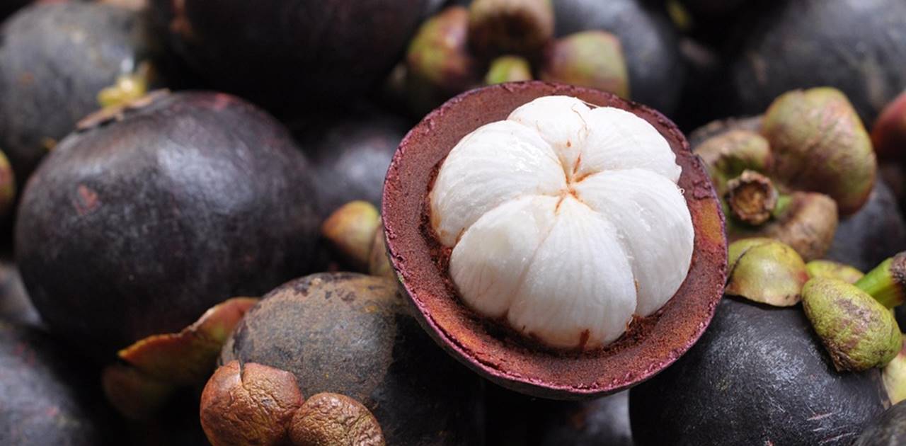 How Long Does Mangosteen Take to Fruit A Guide for Growers and Tropical Fruit Enthusiasts