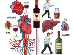 Kelebihan dan Kekurangan Wine Jika Dikonsumsi