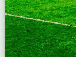 Inter Miami: Laga Panas, Target Tinggi, dan Jalan Menuju Klasemen Atas