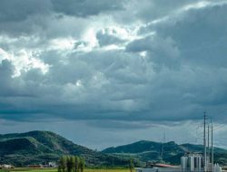Perusahaan Ini Mau Memastikan Ikan yang Kita Makan Enggak Merugikan Lingkungan