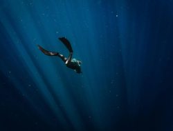 Freediving di Indonesia: Estimasi Biaya Kursus & Perlengkapannya