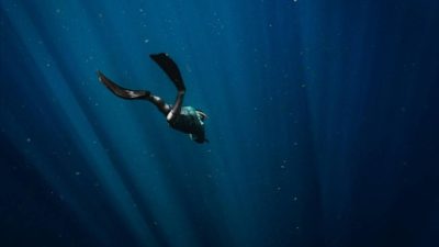 Freediving di Indonesia Estimasi Biaya Kursus Perlengkapannya