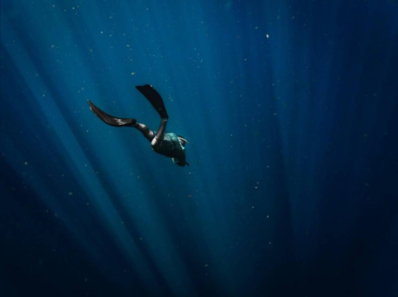 Freediving di Indonesia Estimasi Biaya Kursus Perlengkapannya