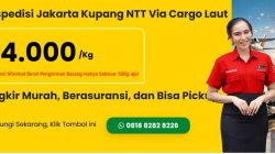 Kirim Barang Jakarta–Kupang Lewat Laut, Apa yang Perlu Diperhatikan?