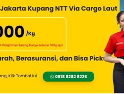 Kirim Barang Jakarta–Kupang Lewat Laut, Apa yang Perlu Diperhatikan?